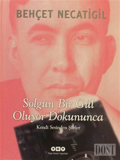 Solgun Bir Gül Oluyor Dokununca